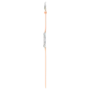 Iridescente Pêssego