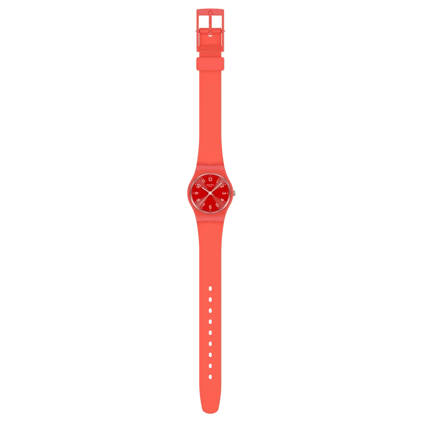 Notas de Coral